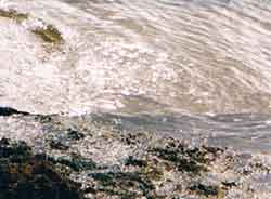 photograph of sea water
